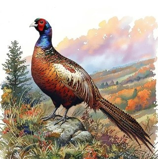 UNICK des Cartouches Dorée 3éme Excellent à FOUQUEURE le 03.11.2025