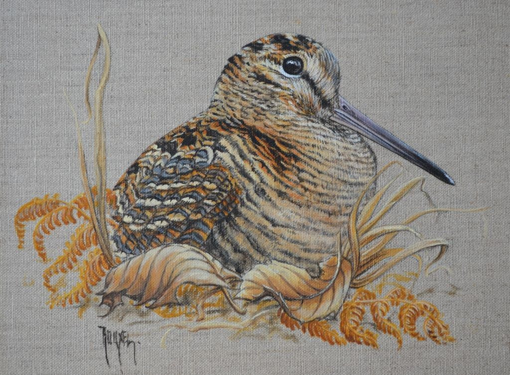 TUTTI-FRUTTI DES CARTOUCHES DOREES 1ére Excellent CACT à la FORET D EAWY le 20.11.2025