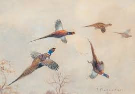 Des Cartouches Dorees - IGOUANE 4éme Trés-Bon en gibier tiré AUGE ST MEDARD (16)