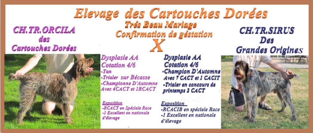 Naissance prévue pour 1er quinzaine de Juin 2025
